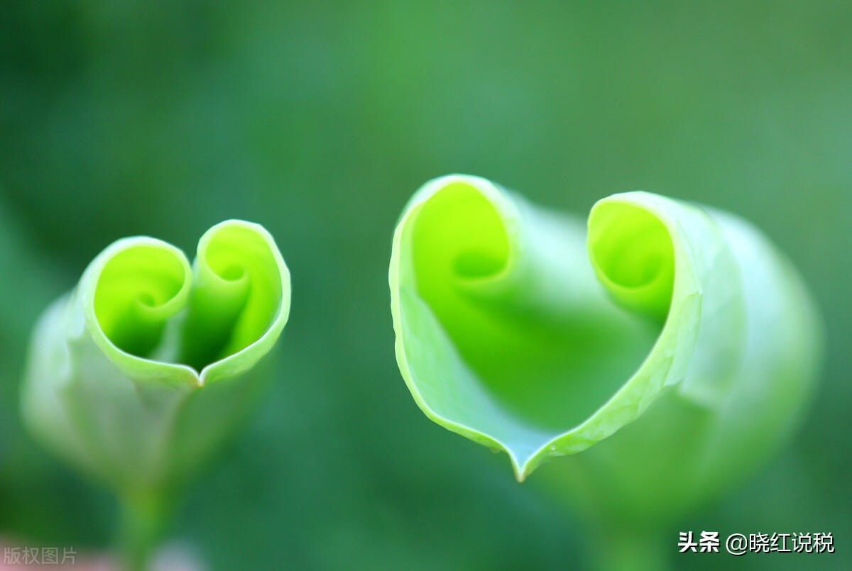 固定资产折旧预计净残值一般多少,固定资产折旧净残值是多少