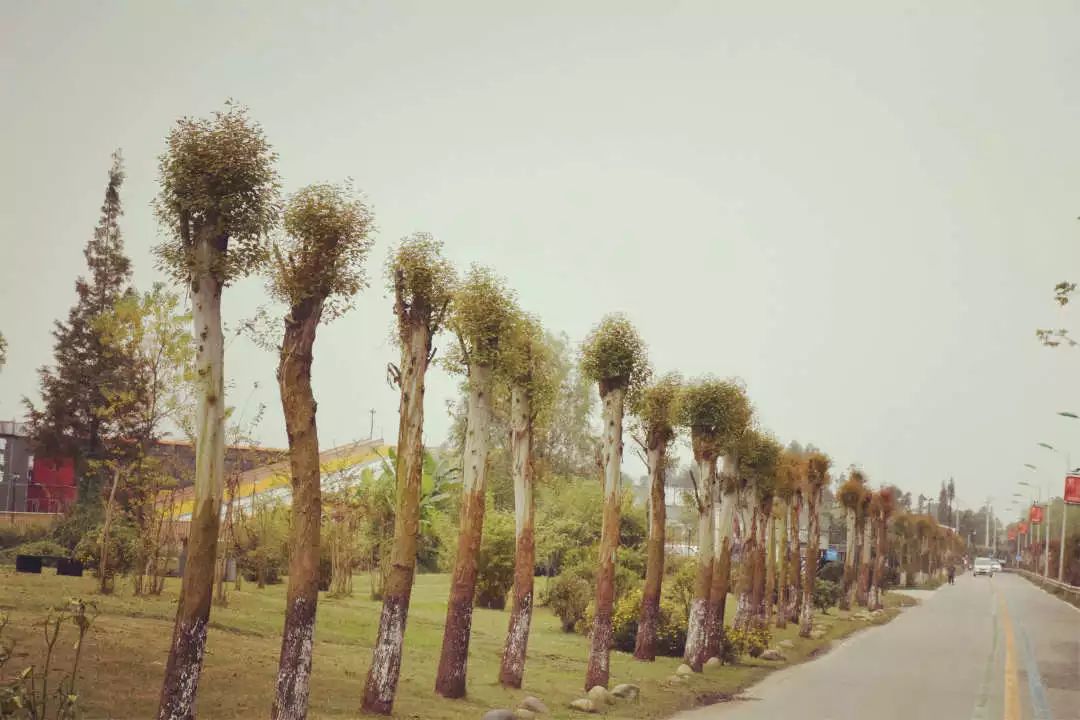 新都民国风情小镇,成都25个特点小镇