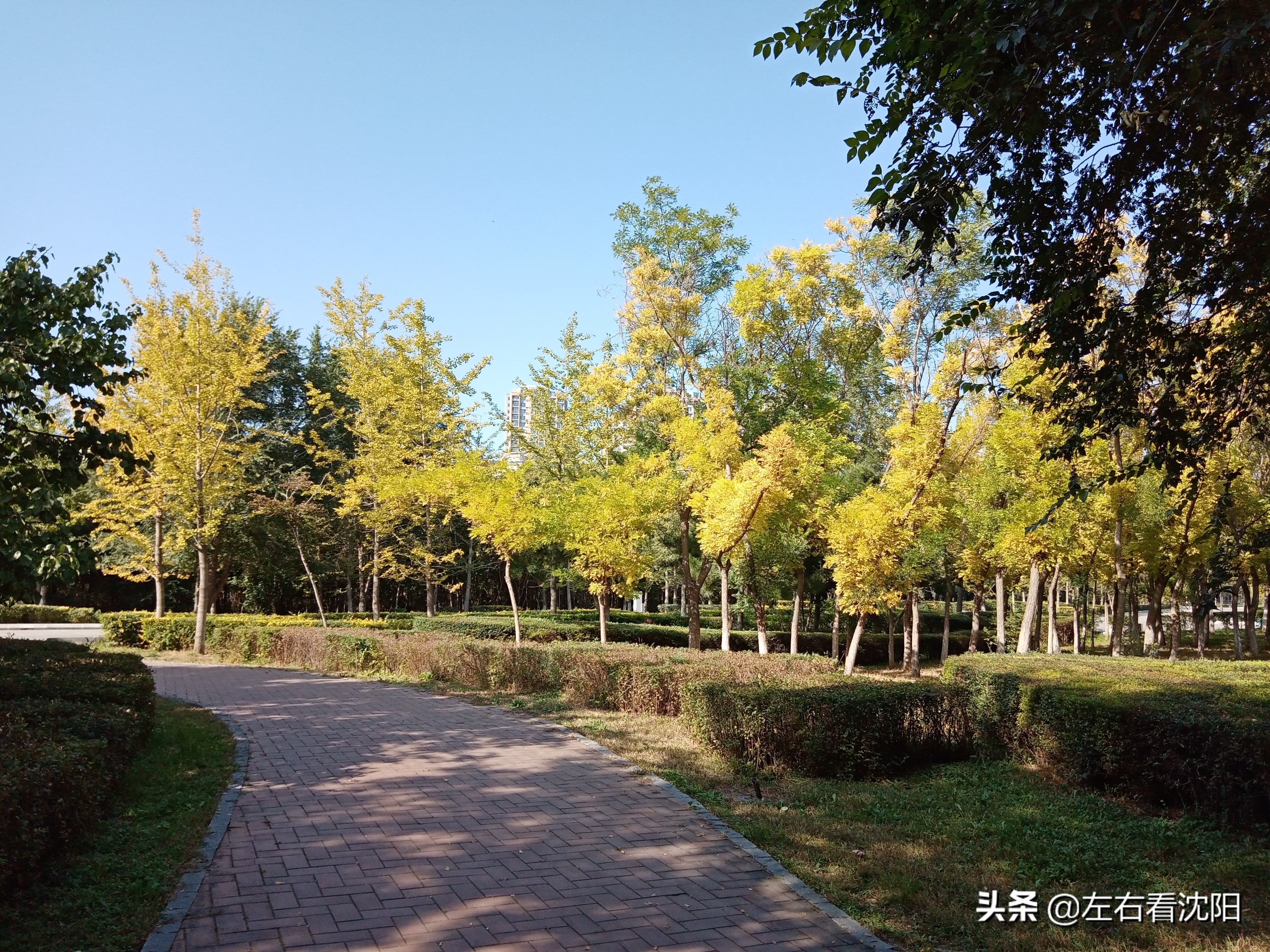 沈阳浑河游玩攻略冬季,盛京浑河晚渡视频