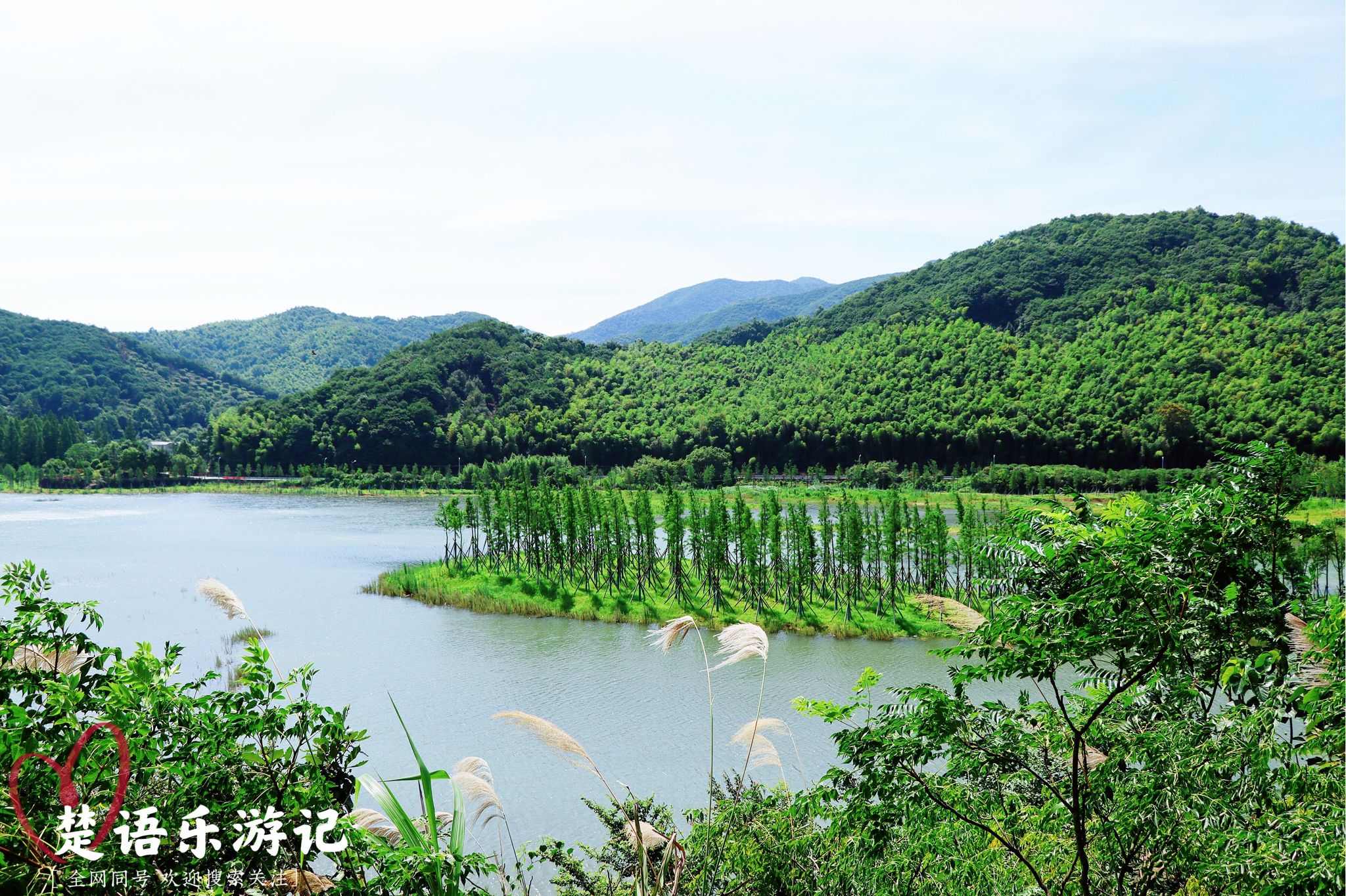 宁波必去三个景点北仑森林公园,宁波大隐森林水库