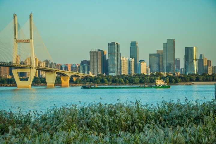 五一自驾游推荐景点武汉,武汉适合周末出游的地方