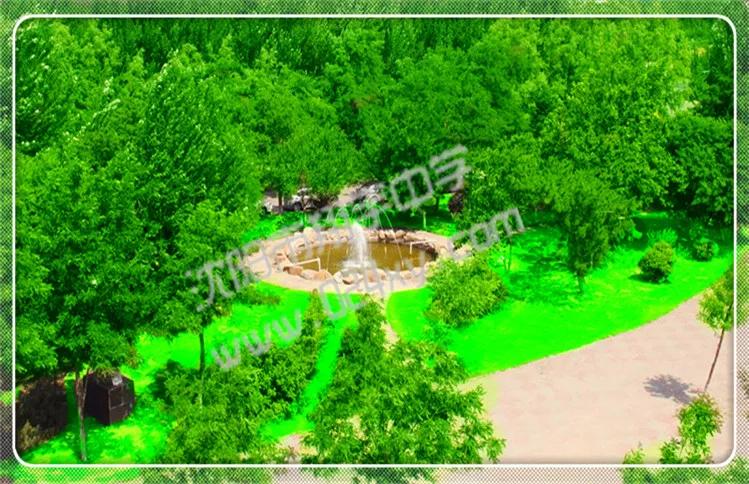 辽宁翔宇中学,2021辽宁沈阳翔宇中学