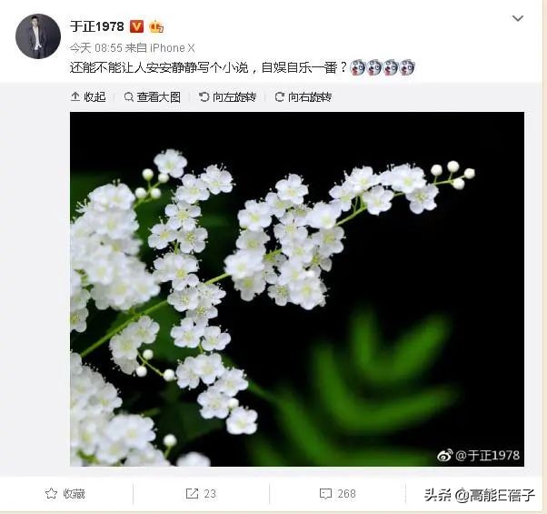 天后·戏精·宫斗（三）：钮祜禄·于正与他的“丫头文学”