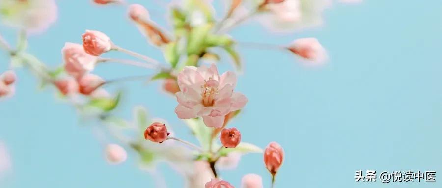 女生大姨妈注意事项大全,大姨妈期间注意事项及食谱