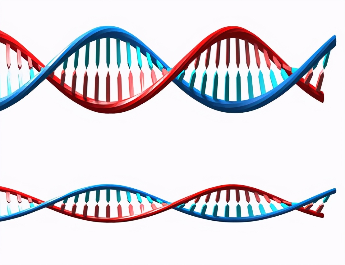 让你的头发乌黑亮丽有光泽,每个人都想拥有乌黑亮丽的头发