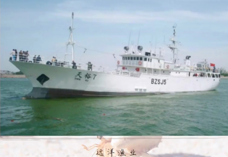 人工养殖海鲜全过程,内陆地区人工养殖海鲜