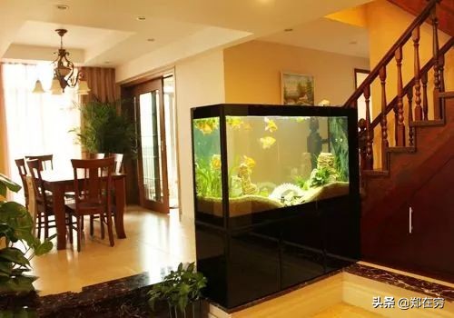 鱼缸摆放位置风水讲究图解大全,鱼缸摆放风水几点讲究