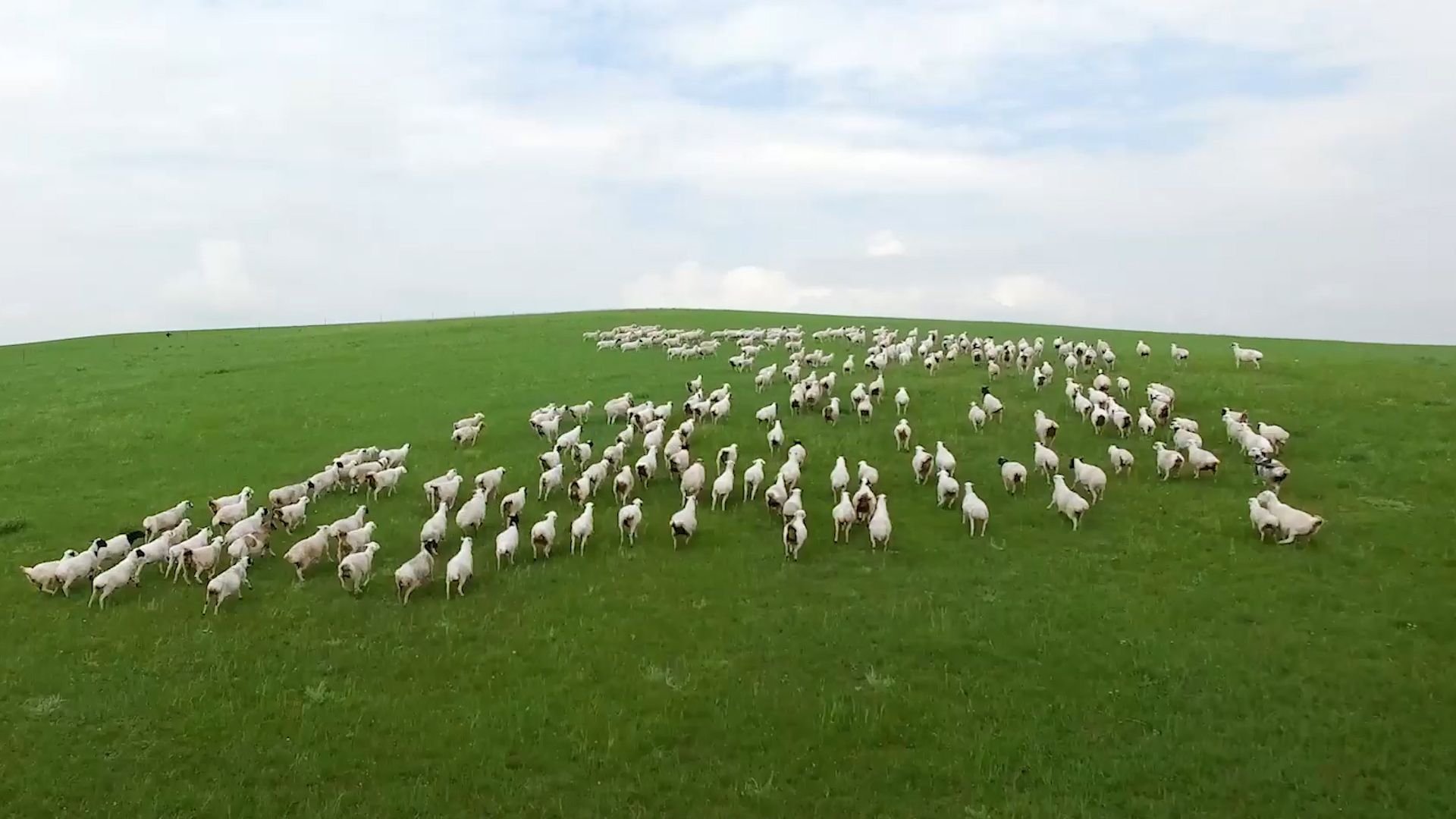 中国6个存在感最弱的省会，经济被“小弟”超越，有你的家乡吗？