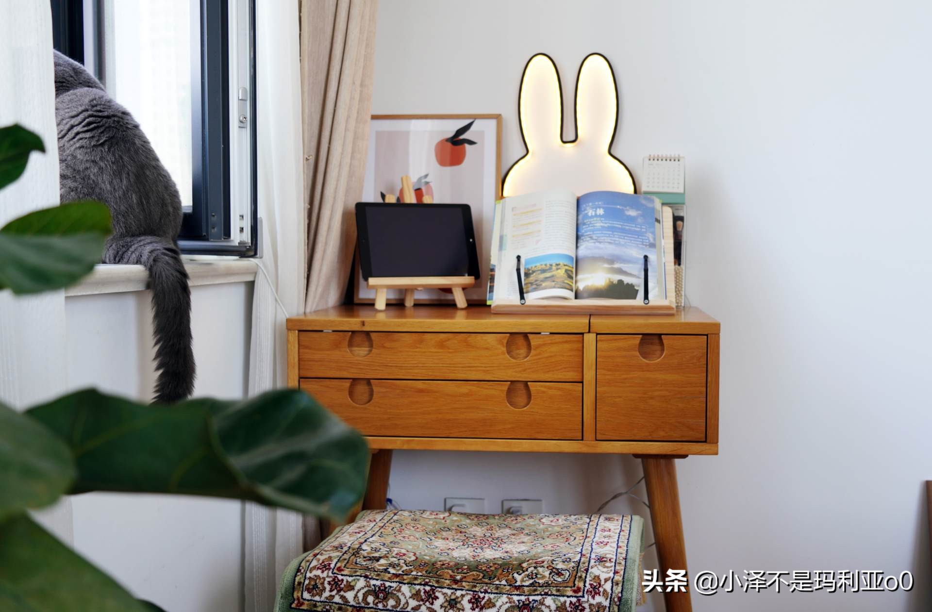 实木家具日常保养方法有哪些种类,家具科普实木家具保养之道