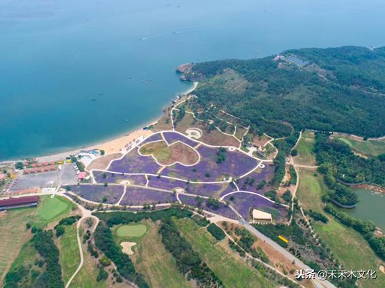 南方的孩儿爱上北方的海