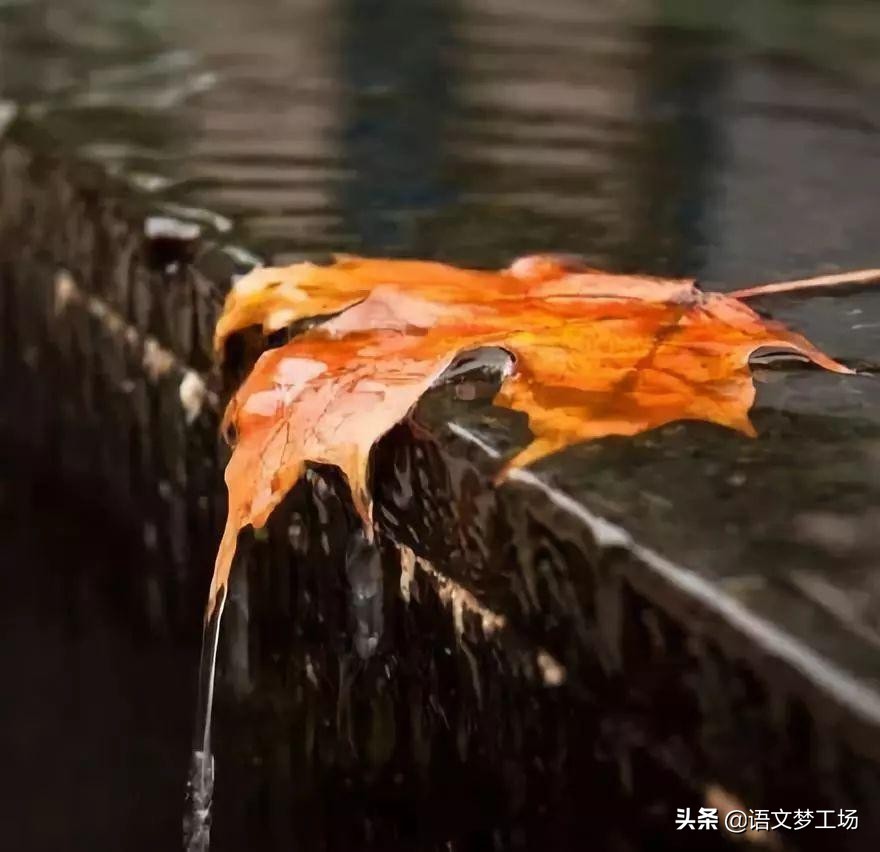 经典作文片段100字左右,经典作文素材集锦91-100则