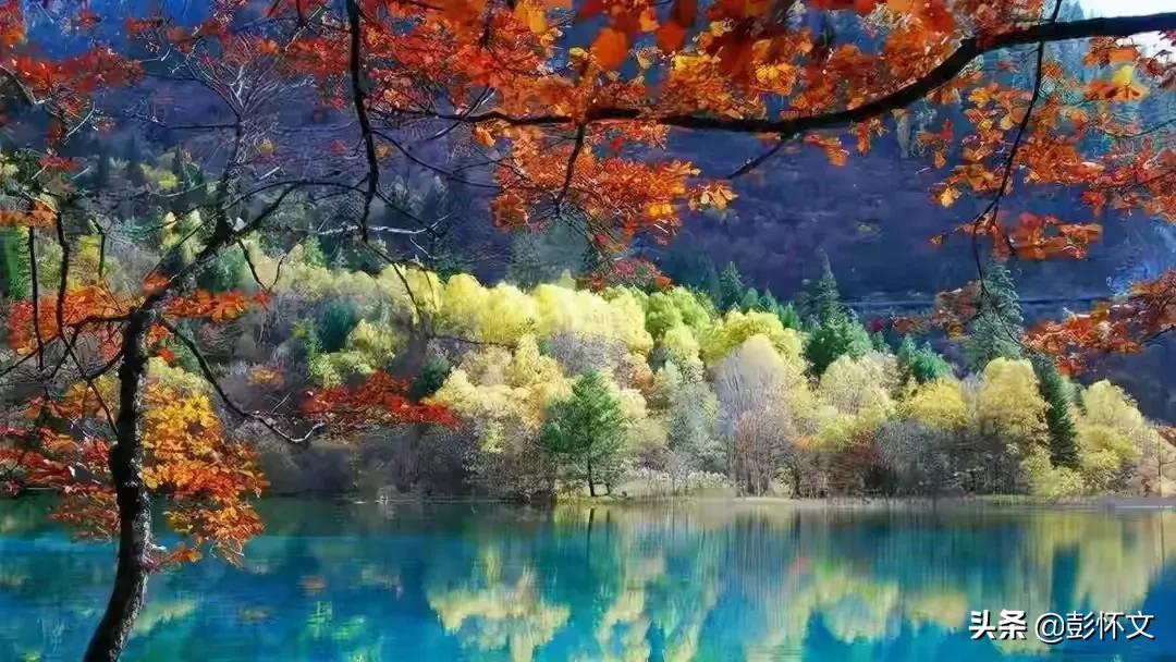 财税答疑问题及解释,财税问题最新解答大全