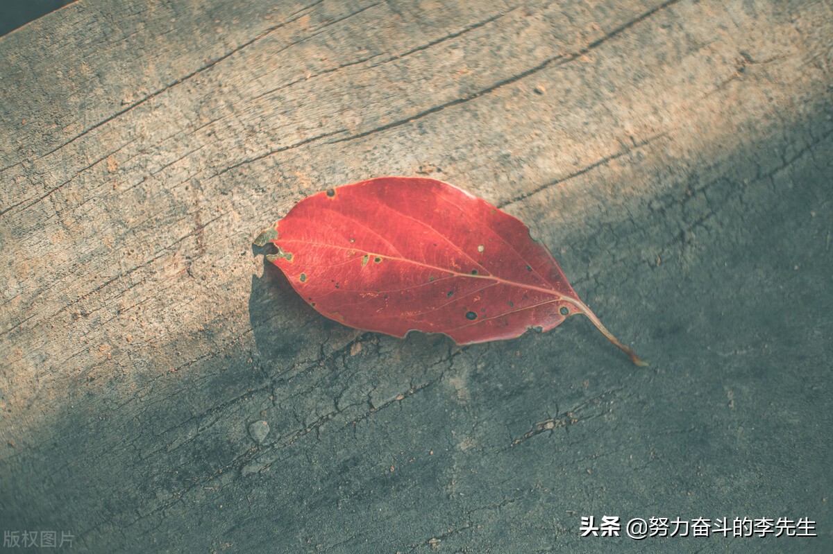 我与孤独相伴一生,与孤独有个约定