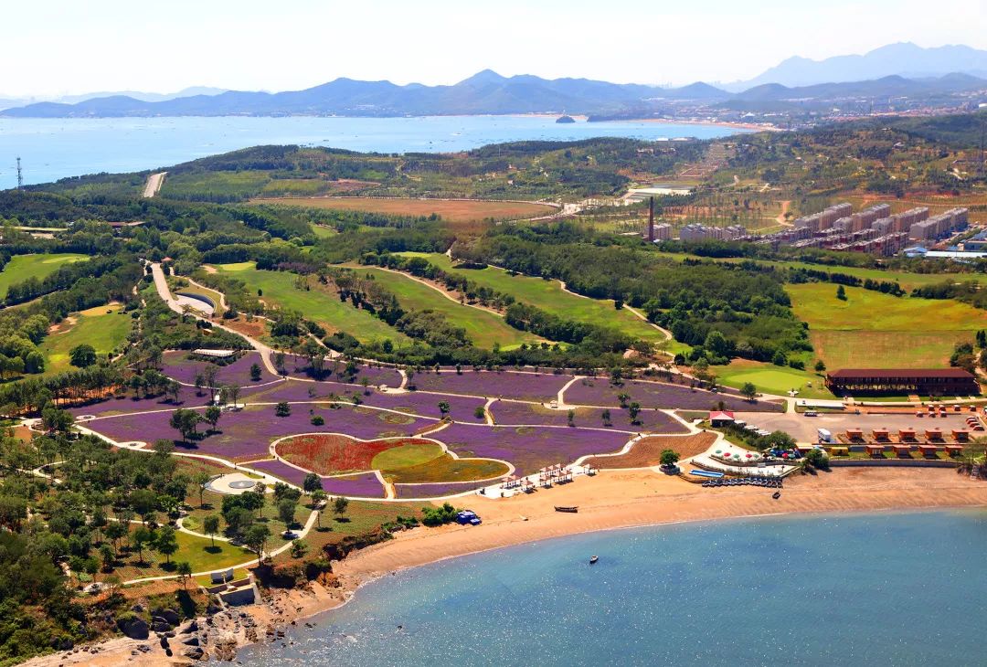 大连旅游攻略精致景点推荐,大连旅游必去10大景点推荐