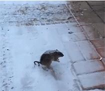 搞笑gif妹子你确定不是来搞笑的,搞笑gif妹子这手速老厉害了