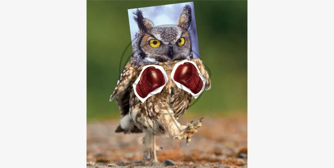 logo拟人化,拟人化商标设计logo