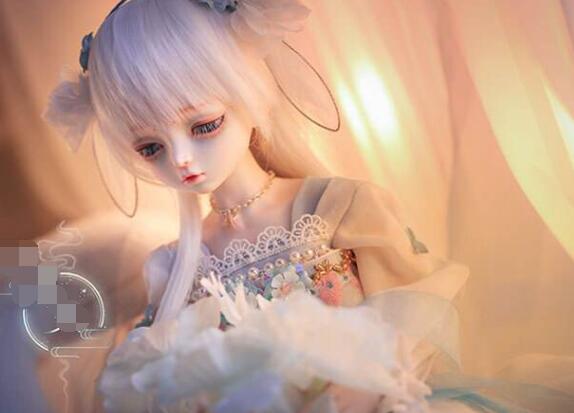 价值数十万的等身手办，为何会禁止“低身拍摄”呢？