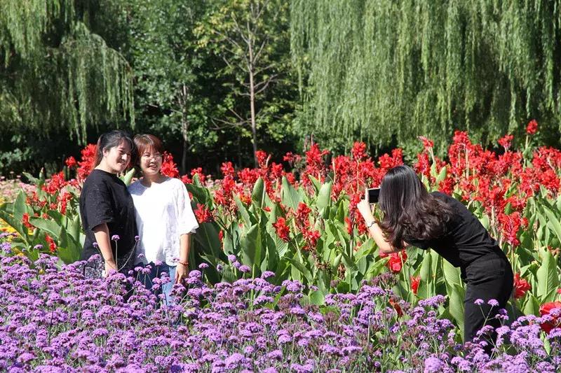 包头市新花海景点,包头最美的地方