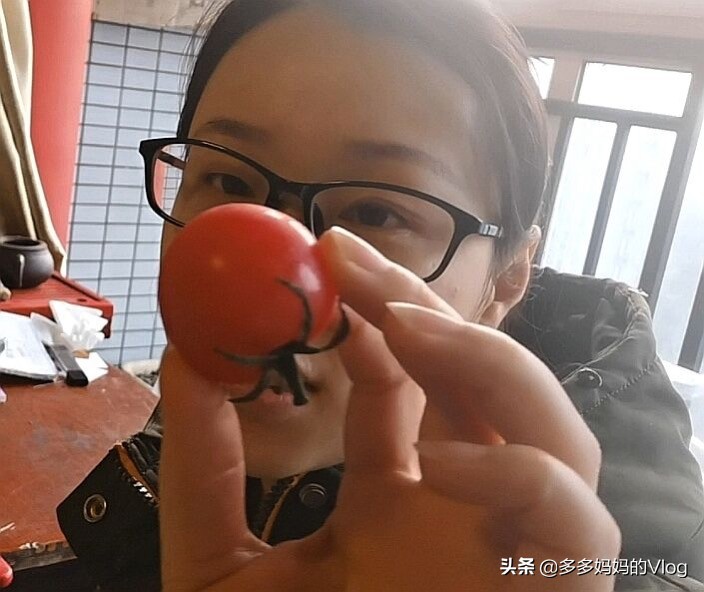 用没熟的小番茄种小番茄,用新鲜番茄的时候可以种植番茄吗