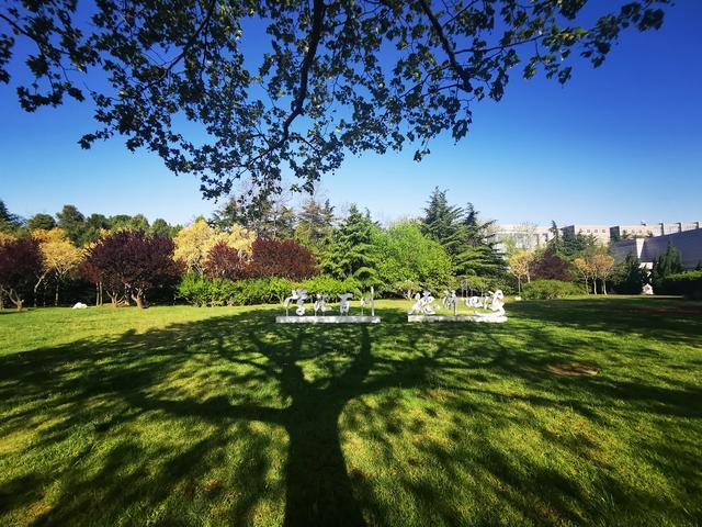 高考考入大连海事大学,大连海事大学高考2020