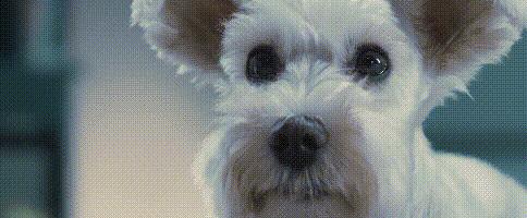 复仇方式电影,最狠的复仇方式电影