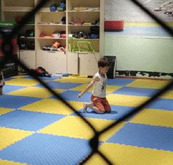 散打搏击跆拳道截拳道有什么区别,搏击散打跆拳道哪个适合6岁小孩