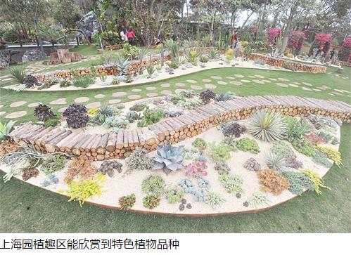 沈阳园彩绘连廊有亮点上海园数控技术很新鲜