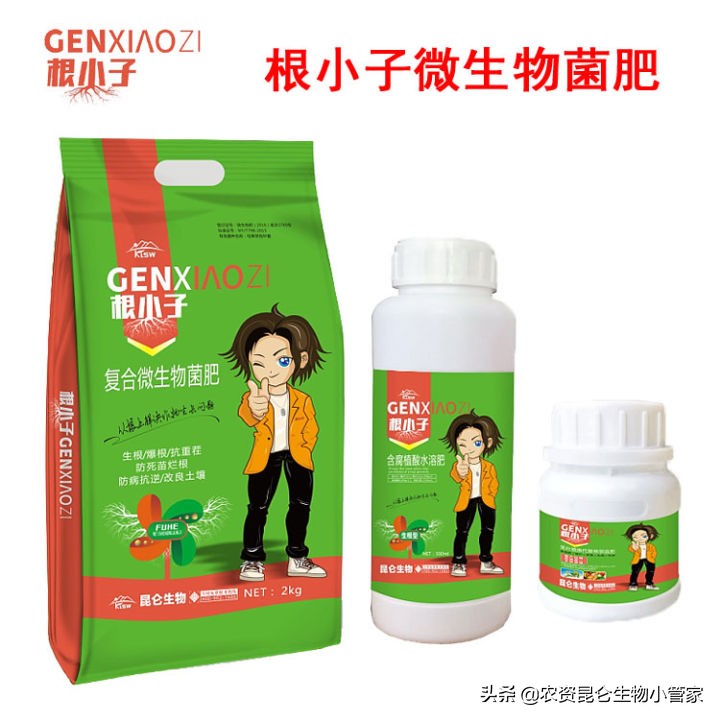 土豆根腐病用什么肥,土豆茎基腐病如何治愈