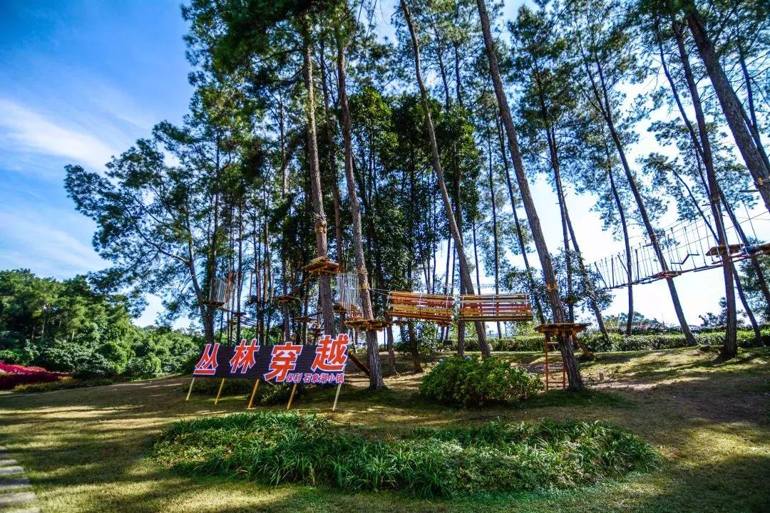 中秋优惠团购景区,团购石象湖门票