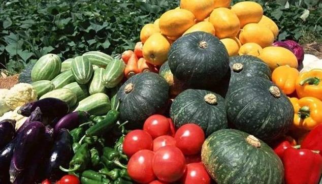 农村治毒蛇草药,毒蛇的克星野草