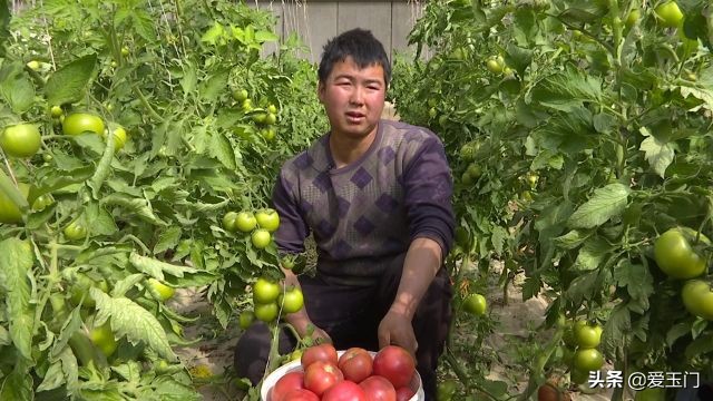 兴业联社播撒及时雨助力春耕备耕,酒泉农商银行春耕助力贷