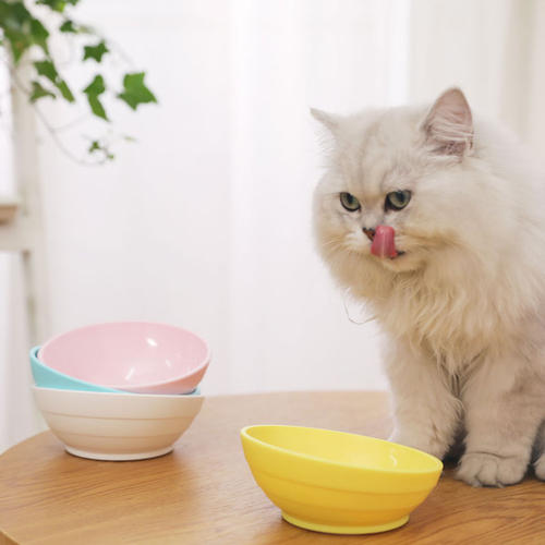 真正的良心猫粮,金装好主人猫粮是毒猫粮吗