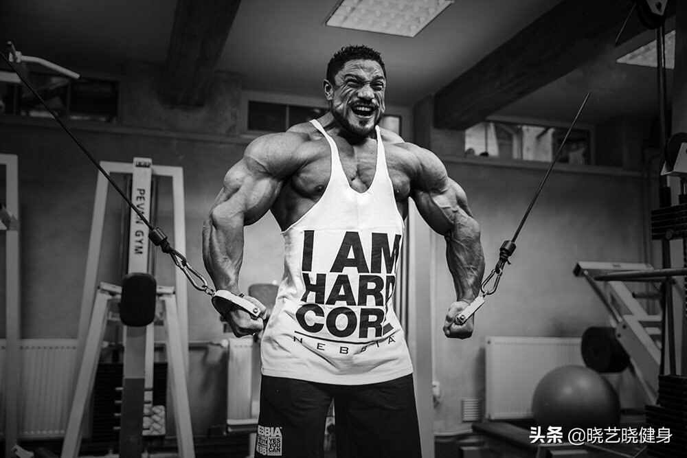 来一起聊聊生活的乐趣,来一起聊天聊聊人生