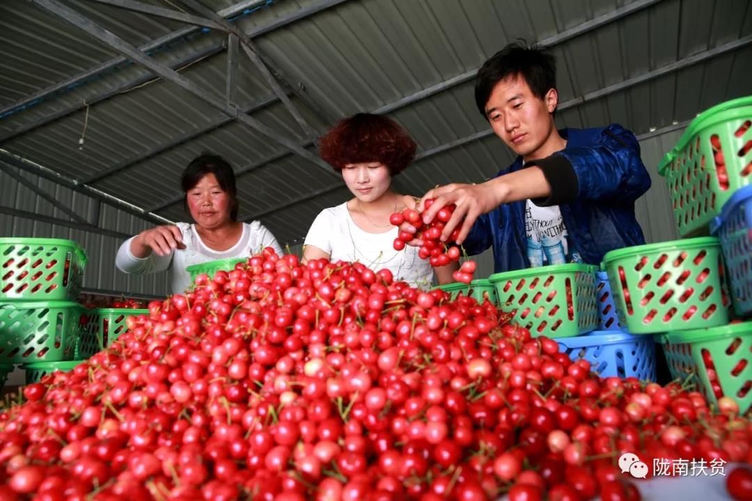 甘肃陇南徽县电商产品,陇南电商白皮书
