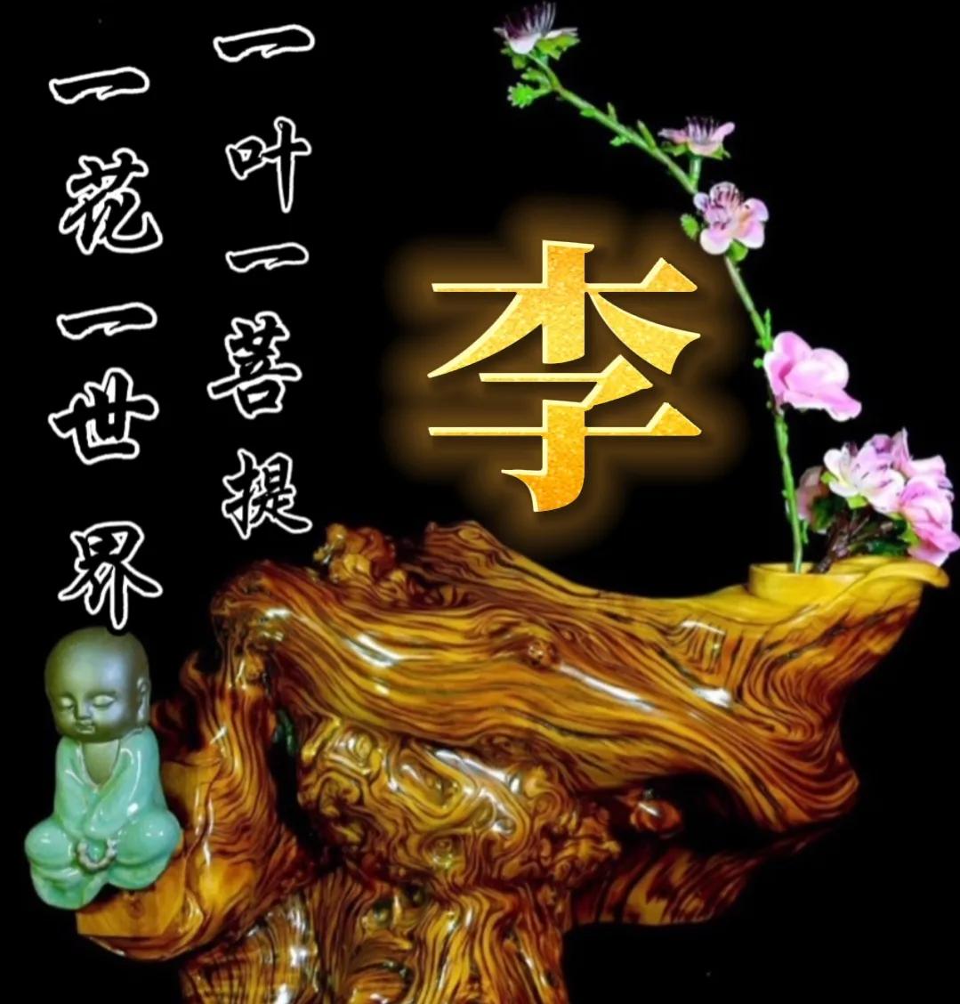 一花一世界一叶一菩提头像,一叶一菩提禅意微信头像
