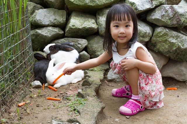 三孩政策的影响和发展建议,三孩政策对农村的影响