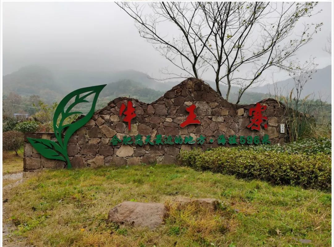 合肥田园自驾游,合肥乡村田园风光游路线