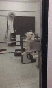 只能亮度调亮才能看得懂的梗,调高亮度才能看懂的梗