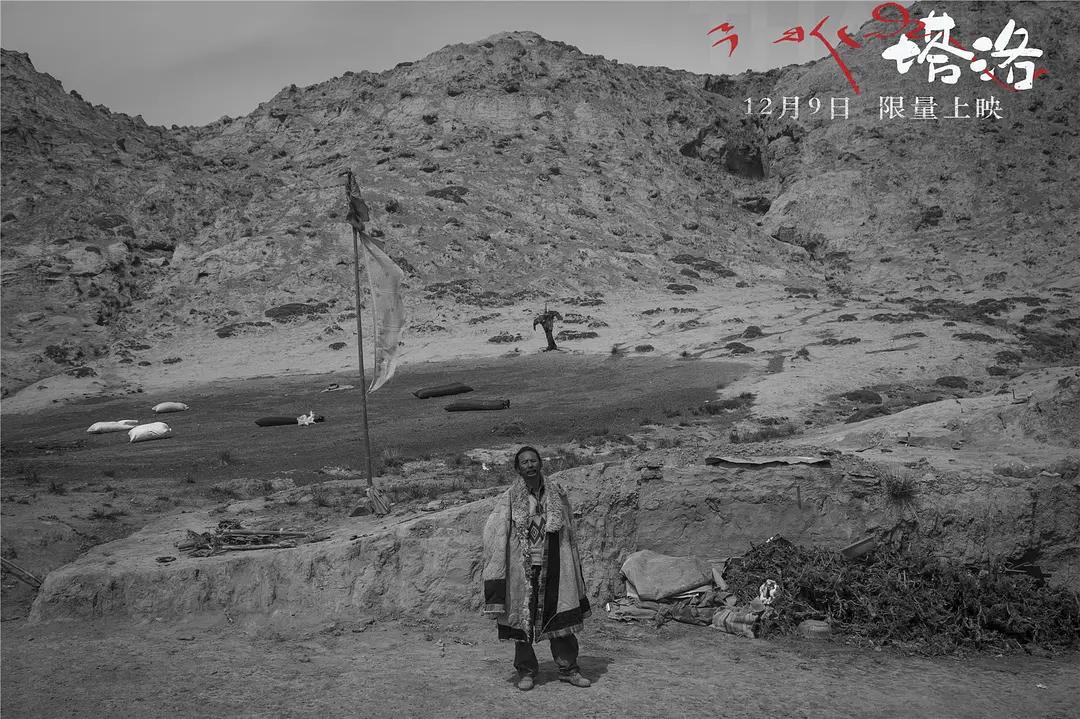 40岁牧羊人被发廊妹骗去16万心血钱，这电影后劲太大