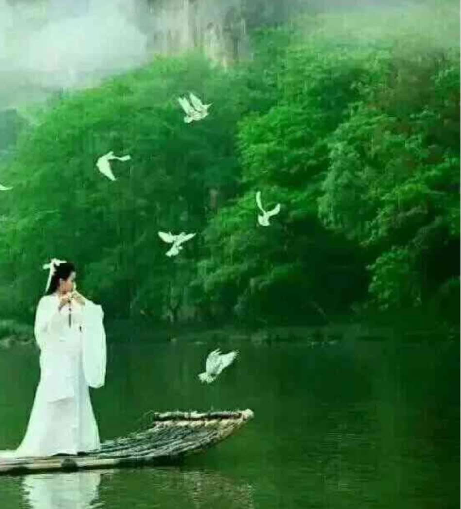 中国诗歌周刊194期,中国诗歌周刊第88期