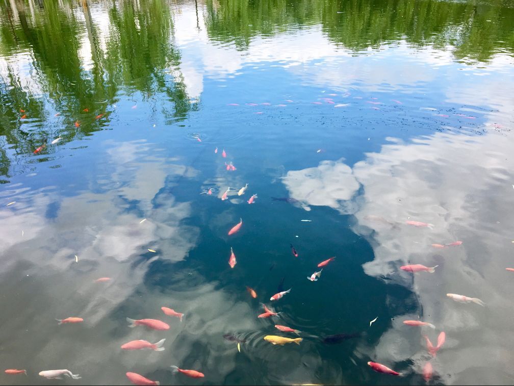 去济南找大明湖畔的夏雨荷,出发去济南看夏雨荷