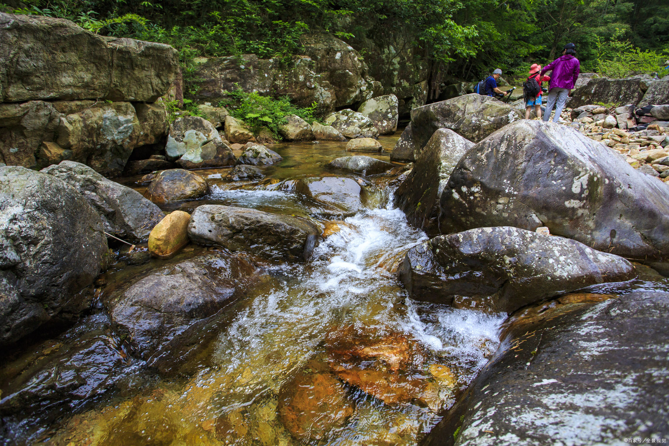 四季轮回又浅秋，葵花向阳乐难休/邢桂珍诗词（六首）