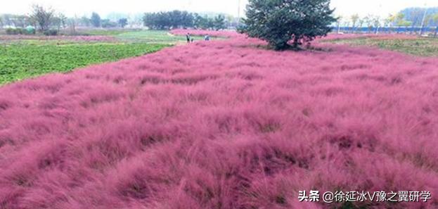 不出郑州旅游攻略,郑州五一游玩公园推荐