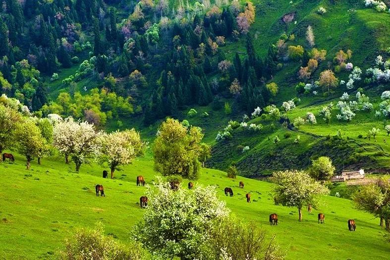 塔城市凉快的公园,塔城地区避暑的地方