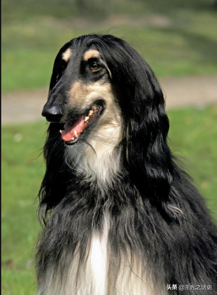 阿富汗战胜美国的原因,为什么美国打不败阿富汗