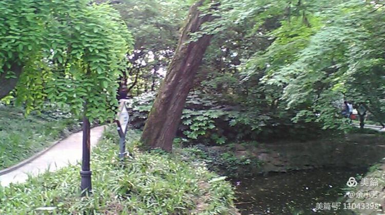 上海中山公园介绍,上海中山公园