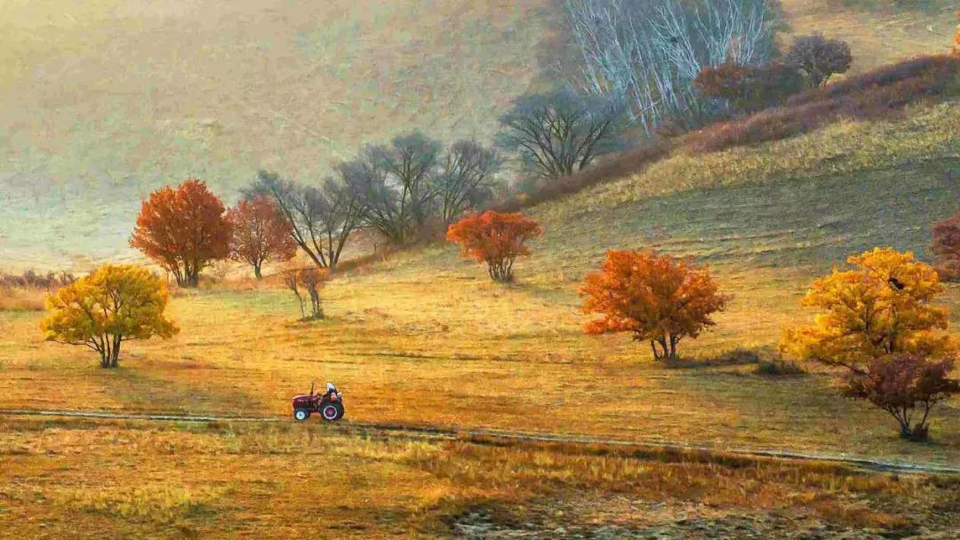 北京周边美丽的地方,初秋北京周边适合去的景点推荐