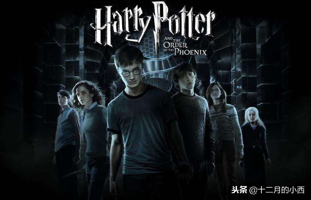 深度解读神奇动物在哪里,神奇动物和哈利波特有什么关联