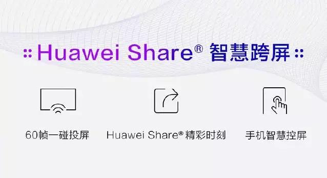 华为mate30屏幕,华为mate30发布了几款