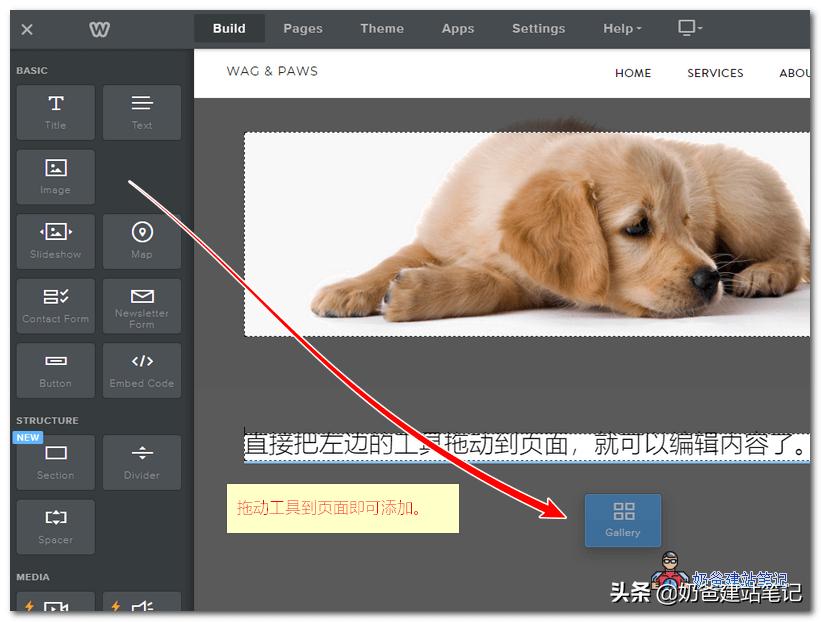 怎么入驻whlee跨境电商平台,跨境电商独立站选品视频教程